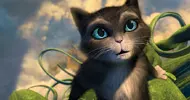 Kitty (Salma Hayek) obserwująca upadek Kota z drzewa (Antonio Banderas)